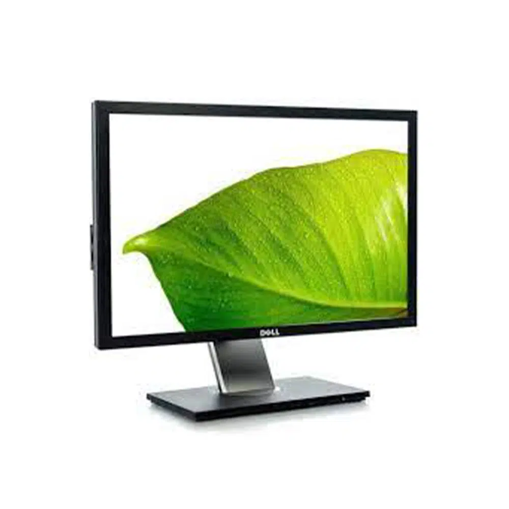 Dell P2210